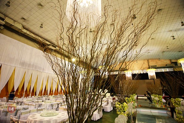 Cận cảnh hội trường đám cưới hoành tráng của Tâm Tít Cận cảnh hội trường đám cưới hoành tráng của Tâm Tít